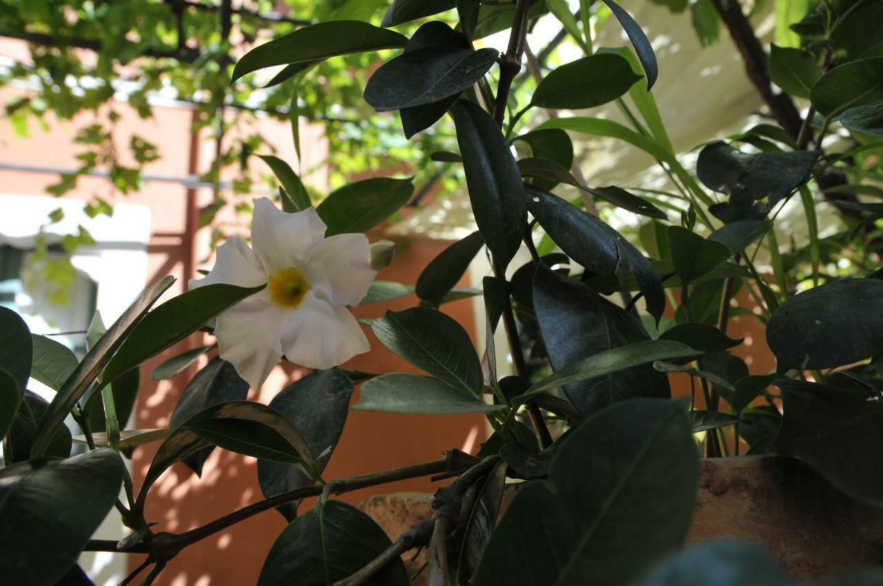 Casa Cifali Taormina Zewnętrze zdjęcie